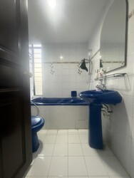 Pandan Valley (D21), Condominium #588791441